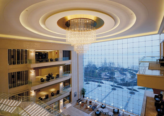 OEM ODM Creative Art Pendant Light для высококлассных мест
